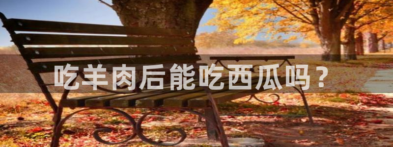 51吃瓜安卓下载