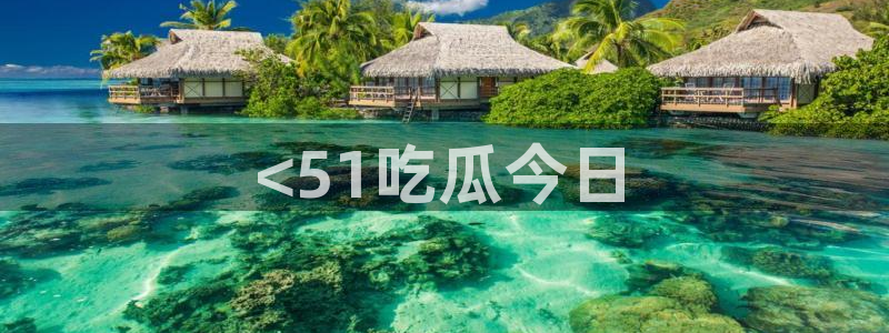 网站吃瓜