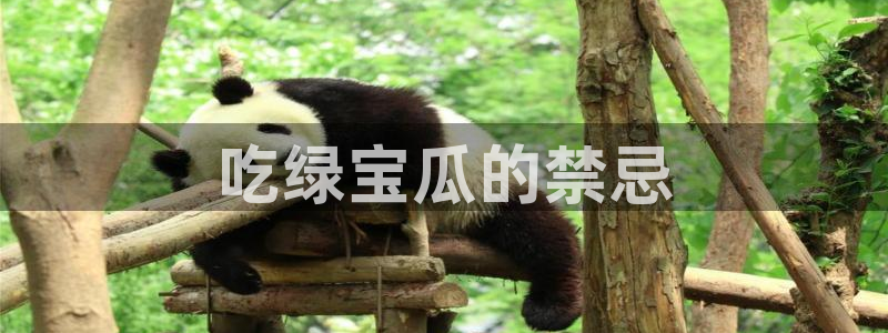 黑料免费：吃绿宝瓜的禁忌