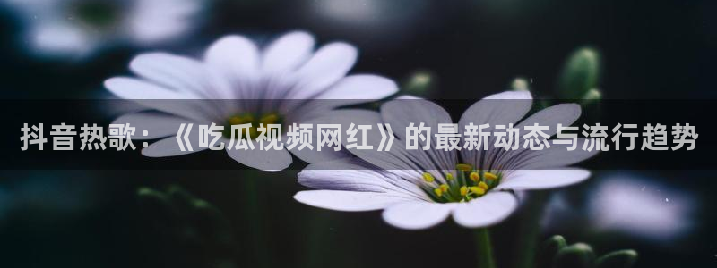 ccggme吃瓜网