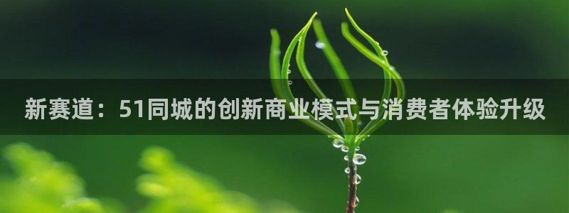 51吃瓜网小鹿酱：新赛道：51同城的创新商业模式与消费者体验升级