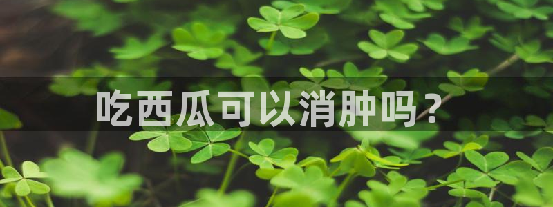 51吃瓜全网最快的吃瓜网站