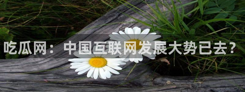 51cg1.ct吃瓜：吃瓜网：中国互联网发展大势已去？